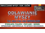 ​Likwidacja myszy, tel.504-746-203 cena, Wrocław. Pozbyci...