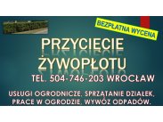 Obcięcie żywopłotu, tel. 504-746-203, Wrocław, cena.  Sk...