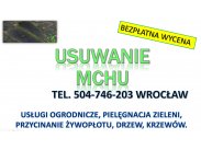 Usuwanie mchu z kostki, Wrocław, tel. 504-746-203. Czyszcze...