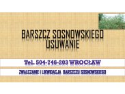Usunięcie i Likwidacja barszczu Sosnowskiego, tel. 504-746-...
