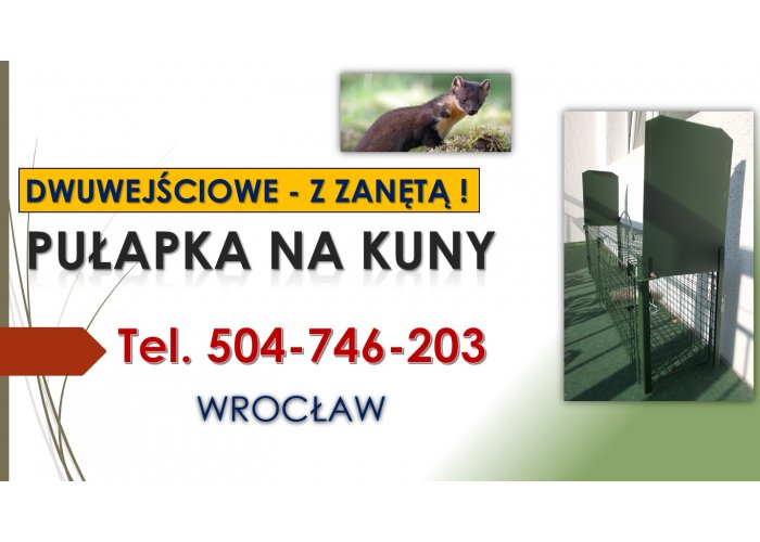 ​Pułapka na kuny, lisy, odbiór, Wrocław, tel. 504-746-203. Łowienie, żywołapka,