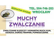 Likwidacja much dezynfekcja, tel. 504-746-203, Wrocław. Zwa...