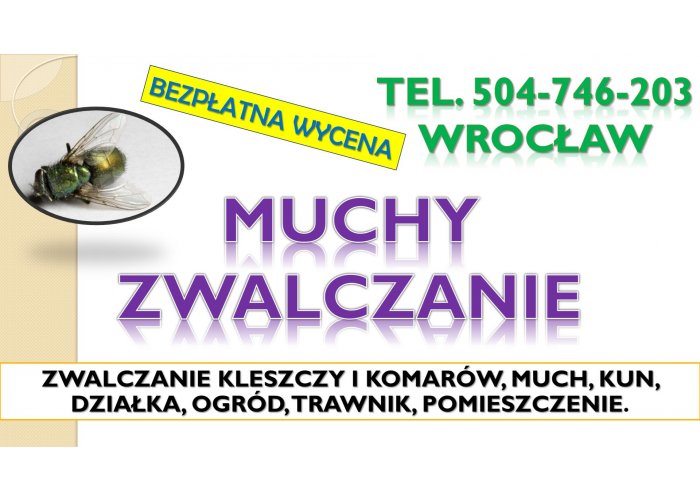 Likwidacja much dezynfekcja, tel. 504-746-203, Wrocław. Zwalczanie insektów, cen