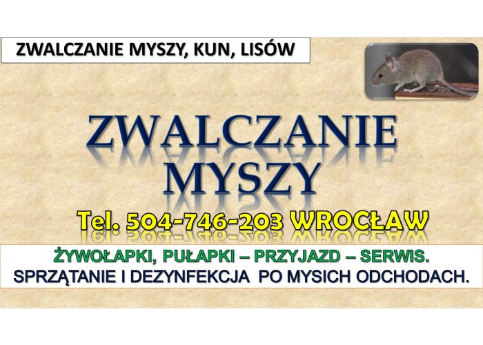 ​Zwalczanie myszy, Wrocław. tel. 504-746-203 Likwidacja szkodników w domu. Pułap