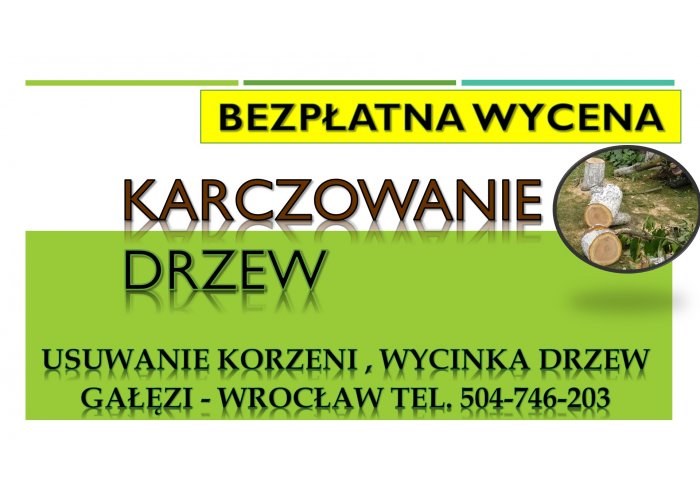 ​Usuwanie korzeni, cennik , tel. 504-746-203. Wrocław. Pni, pnia drzewa. korzeni