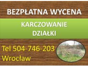 Karczowanie działki, cena, tel. 504-746-203, Wrocław. Kosz...