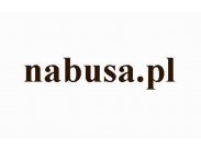 www.nabusa.pl domena na sprzedaz nabusa.pl sprzedam domene n...