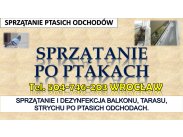 Oczyszczanie z odchodów gołębich, tel. 504-746-203, sprz...