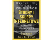 Profesjonalne tworzenie stron internetowych. Zadzwoń!