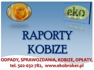 ​Kobize, tel 502-032-782, logowanie, przykłady, opłaty ...