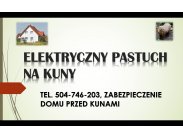 Pastuch na kuny, cena tel. 504-746-203. Kuna, Odławianie, o...