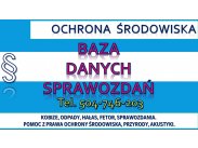 ​Sprawozdanie SZWO i FGC cena, tel. 502-032-782. Czynnik c...