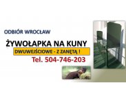 ​Żywołapka na kuny, cena, tel. 504-746-203, Odbiór Wroc...