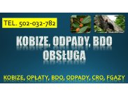 BDO obsługa firmy. Tel. 504-746-203. Prowadzenie ewidencji ...