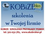 ​Szkolenie z raportu Kobize, tel 502032782, indywidualne, ...