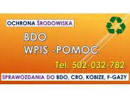 BDO, pomoc, tel. 504-746-203, wypełnienie wniosku. Obsługa...