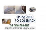 Dezynfekcja po gołębiach, tel. 504-746-203, Wrocław. Sprz...