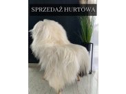 Islandzka Bio skóra owcza, naturalna, dywan, ekologiczna