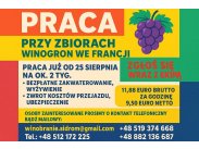 WINOBRANIE FRANCJA