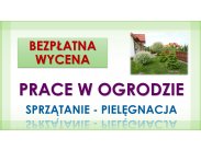 Porządkowanie działek, Wrocław. Tel. 504-746-203, sprząt...