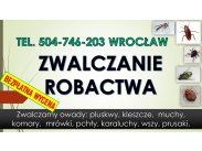 Zwalczanie robactwa cena, tel. 504-746-203, Wrocław. Likwid...