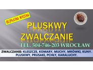 Dezynfekcja na pluskwy, cennik, tel. 504-746-203, Wrocław. ...