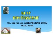 Łapka na kuny, tel. 504-746-203, odłowienie i zabezpiec...