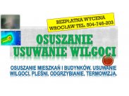 Osuszanie po zalaniu, cennik, tel. 504-746-203, mieszkania,...